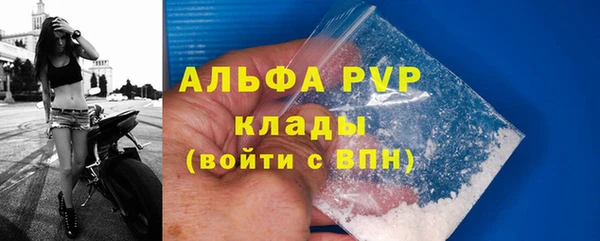 СК Абинск
