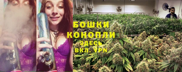 СК Абинск
