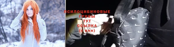 2c-b Абдулино