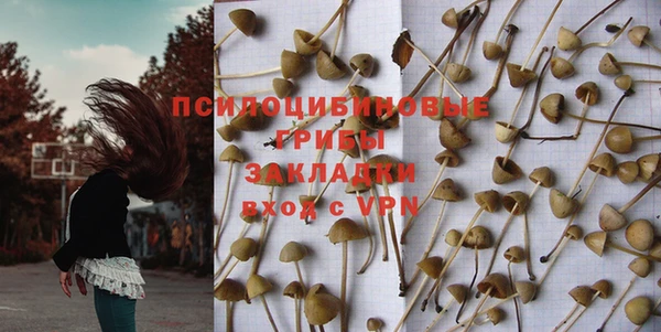 2c-b Абдулино