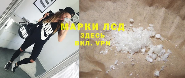 СК Алексин